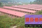养殖好项目(有什么养殖项目)