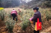 电商是什么工作
:电子商务以后可以做什么工作？