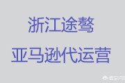 跨境电商趋势
:跨境电商现在大的趋势到底是怎么样的？