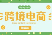 品牌电商(电商品牌授权怎么拿)