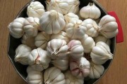 糖蒜制作视频(糖蒜怎么腌制最好吃的视频)