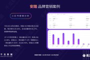 小红书主要营销形式(小红书营销案例分析)