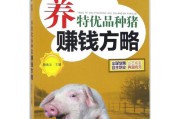 赚钱技术(赚钱技术教程)