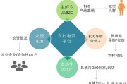 农村电商的发展(农村电商发展现状分析)