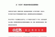 小红书的市场营销策略(小红书的市场营销策略研究)
