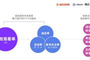 网络视频营销的策略有哪些(网络视频营销的策略包括)