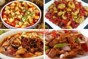川菜做法视频(川菜做法视频教程app)