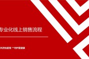 线上销售规划(线上销售快消品下半年工作规划)