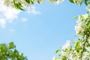 今年闰月吗(今年闰月吗2023年闰几月)