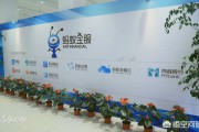 蚂蚁电商
:蚂蚁金服如果上市，会发生什么？