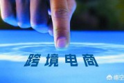 跨境电商成功案例
:支付机构外汇政策进一步完善，跨境电商是否适合中国创业者？