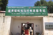 电商服务站是干什么的(电商服务站是干什么的?)