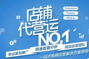 运营电商(电商运营公司)