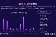 小红书双十一营销策略(小红书营销策略毕业论文)