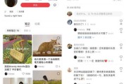 个人小红书怎么推广(小红书个人推广一直不通过)