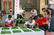 农村电商有工资多少(电商工资一般多少)