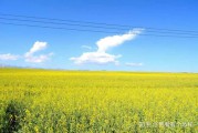旅途的短视频(大姐在旅途最新视频)