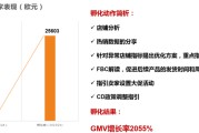 esg跨境电商(esg易通全球跨境电商公司)