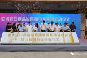 临沂电商(临沂电商公司) 临沂电商(临沂电商公司)