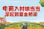 农村电商政府要(搞农村电商政府有补贴吗)