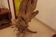 根雕制作方法视频(杜鹃根雕制作方法)