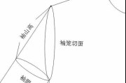 袖长怎么量(裙子袖长怎么量)