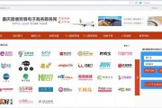 跨境电商平台是什么(跨境电商平台是什么模式)