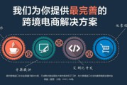 电商规划方案(电商规划方案模板)