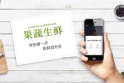 蔬菜电商平台哪个更好(电商创业平台哪个更好)