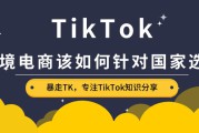 跨境电商选品(跨境电商选品的方法有几个)
