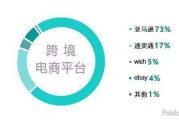 亚马逊跨境电商平台介绍(亚马逊跨境电商平台介绍PPT免费)