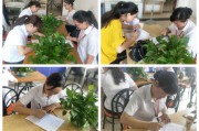 电商文员是做什么的(电子商务文员是做什么的)
