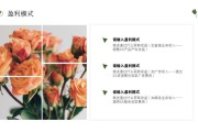 鲜花电商(鲜花电商市场分析)