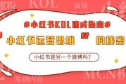 小红书营销活动案例(如何利用小红书进行营销活动)