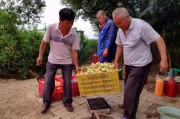 果农与电商怎么合作(跟果农怎么谈合作) 果农与电商怎么合作(跟果农怎么谈合作)