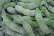 毛豆短视频(毛豆豆短视频)