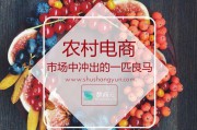 如何加入农资电商平台(农产品电商平台怎么加入)