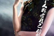 匹夫的意思(乡村匹夫的意思)