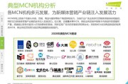 视频营销的策略有哪些(短视频营销的价值及策略)