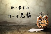 阅历的意思(有经历才有阅历的意思)