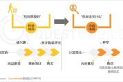 什么是内容电商(什么是内容电商化)