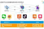 什么是电商直播(什么是电商直播准备阶段的首要任务)
