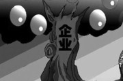 企业创新的例子(中国企业创新的例子)
