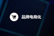 微博电商(微博电商博文怎么发)