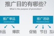 网站推广的方法(网站推广的方法枫子1)