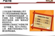 三只松鼠电商案例分析(三只松鼠品牌案例分析)