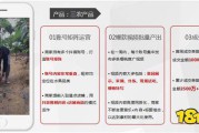 抖音广告运营(抖音广告运营公司)