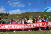 大圣旗舰电商怎么盈利的简单介绍