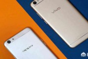 vivo的电商
:OPPO和vivo体系什么时候会崩塌？