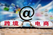 跨境电商收款平台
:我有个人网站，想做境外电商，但是我怎么收款？